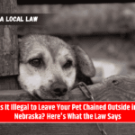 Is It Illegal to Leave Your Pet Chained Outside in Nebraska? Here's What the Law Says