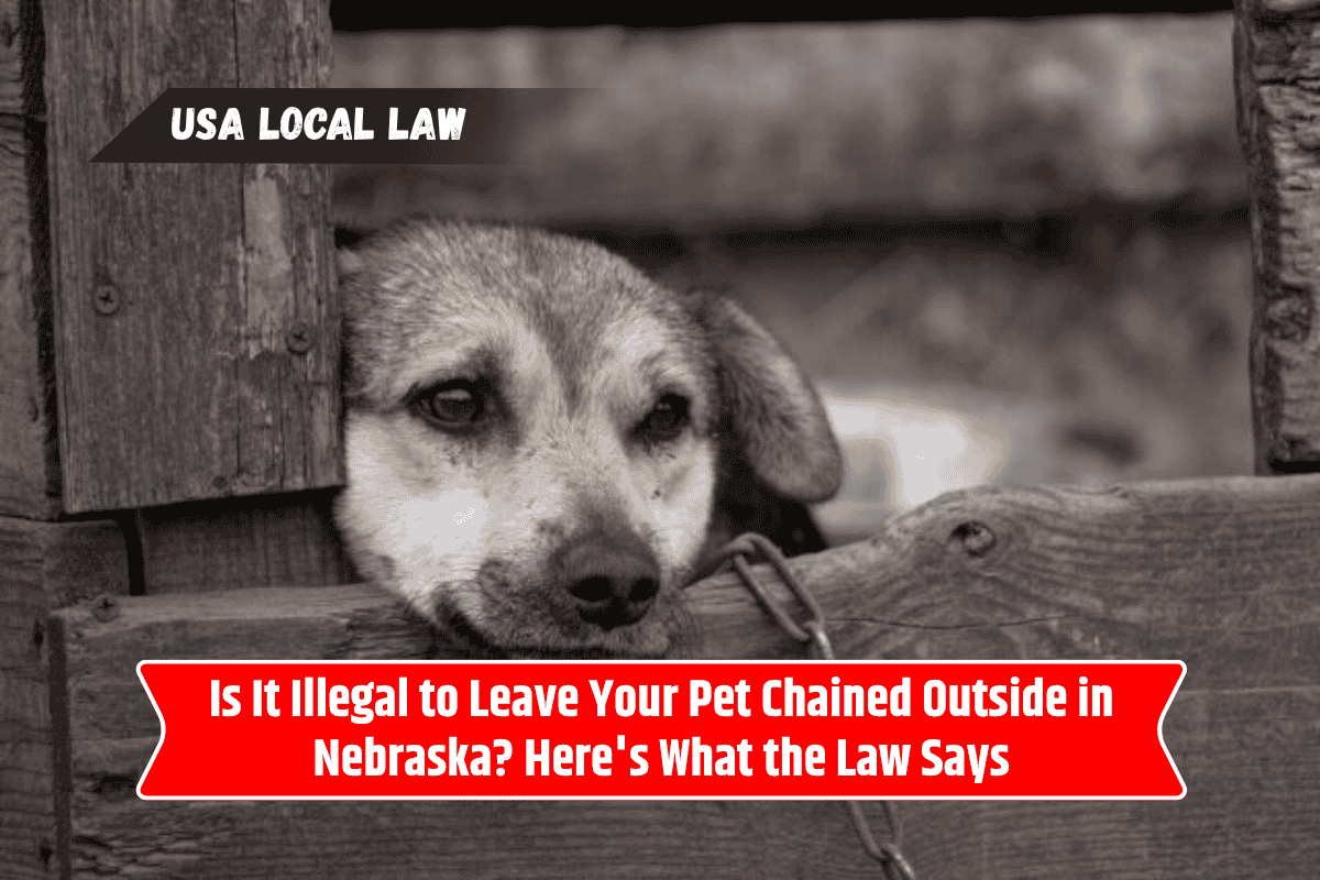 Is It Illegal to Leave Your Pet Chained Outside in Nebraska? Here's What the Law Says