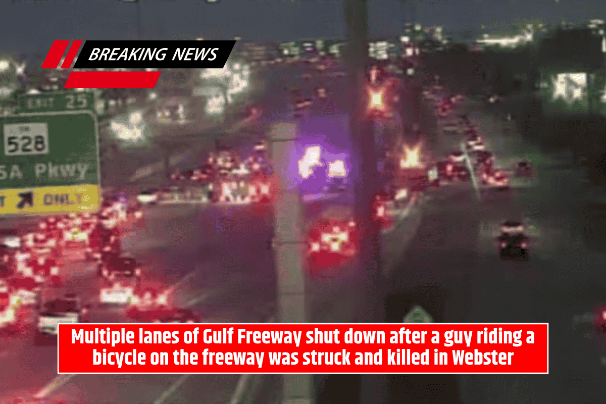 Multiple lanes of Gulf Freeway shut down after a guy riding a bicycle on the freeway was struck and killed in Webster