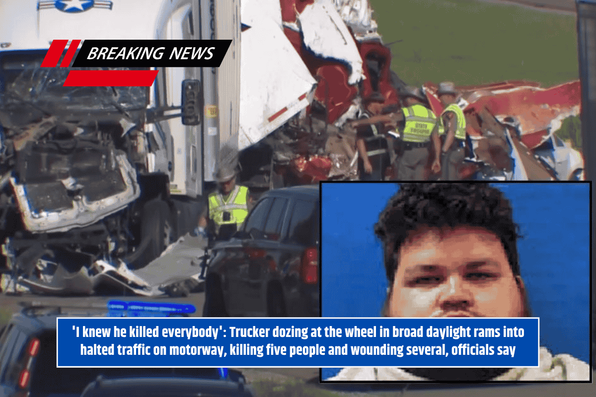 'I knew he killed everybody': Trucker dozing at the wheel in broad daylight rams into halted traffic on motorway, killing five people and wounding several, officials say