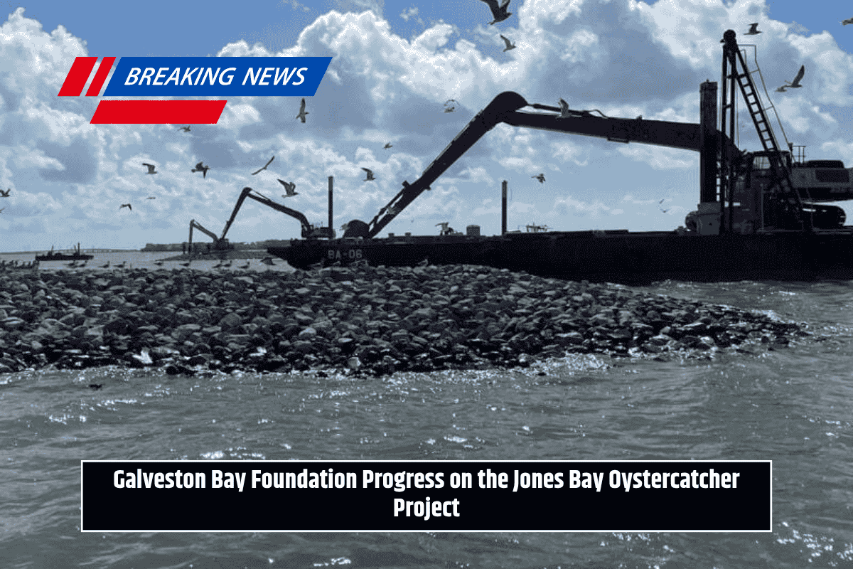 Galveston Bay Foundation Progress on the Jones Bay Oystercatcher Project