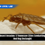 Insect Invasion: 5 Tennessee Cities Combatting Bed Bug Onslaught