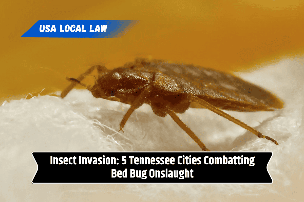 Insect Invasion: 5 Tennessee Cities Combatting Bed Bug Onslaught