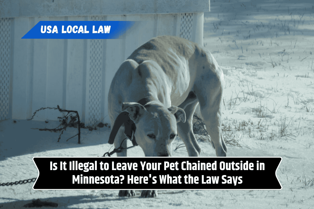 Is It Illegal to Leave Your Pet Chained Outside in Minnesota? Here's What the Law Says
