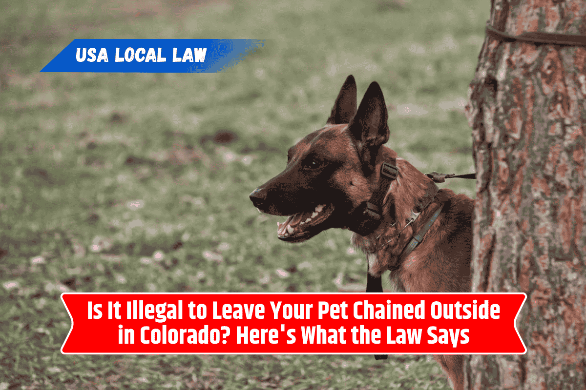 Is It Illegal to Leave Your Pet Chained Outside in Colorado? Here's What the Law Says