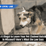 Is It Illegal to Leave Your Pet Chained Outside in Missouri? Here's What the Law Says