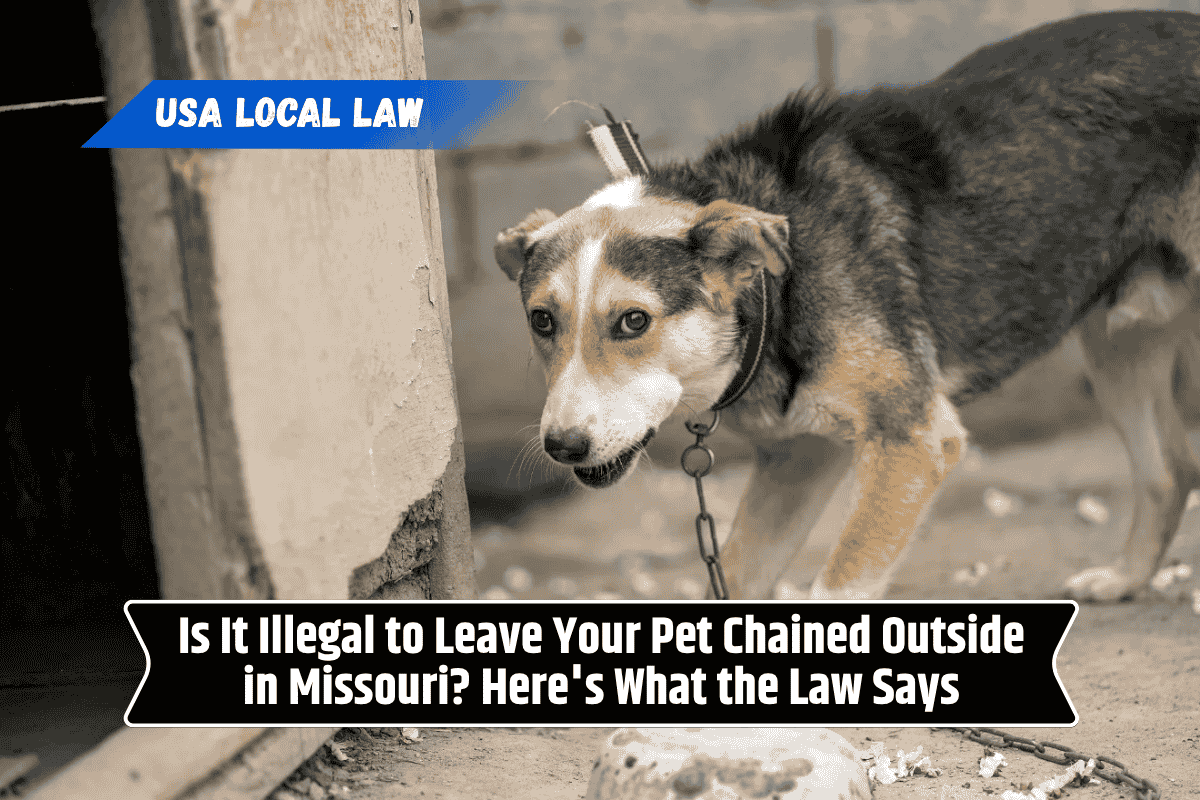 Is It Illegal to Leave Your Pet Chained Outside in Missouri? Here's What the Law Says