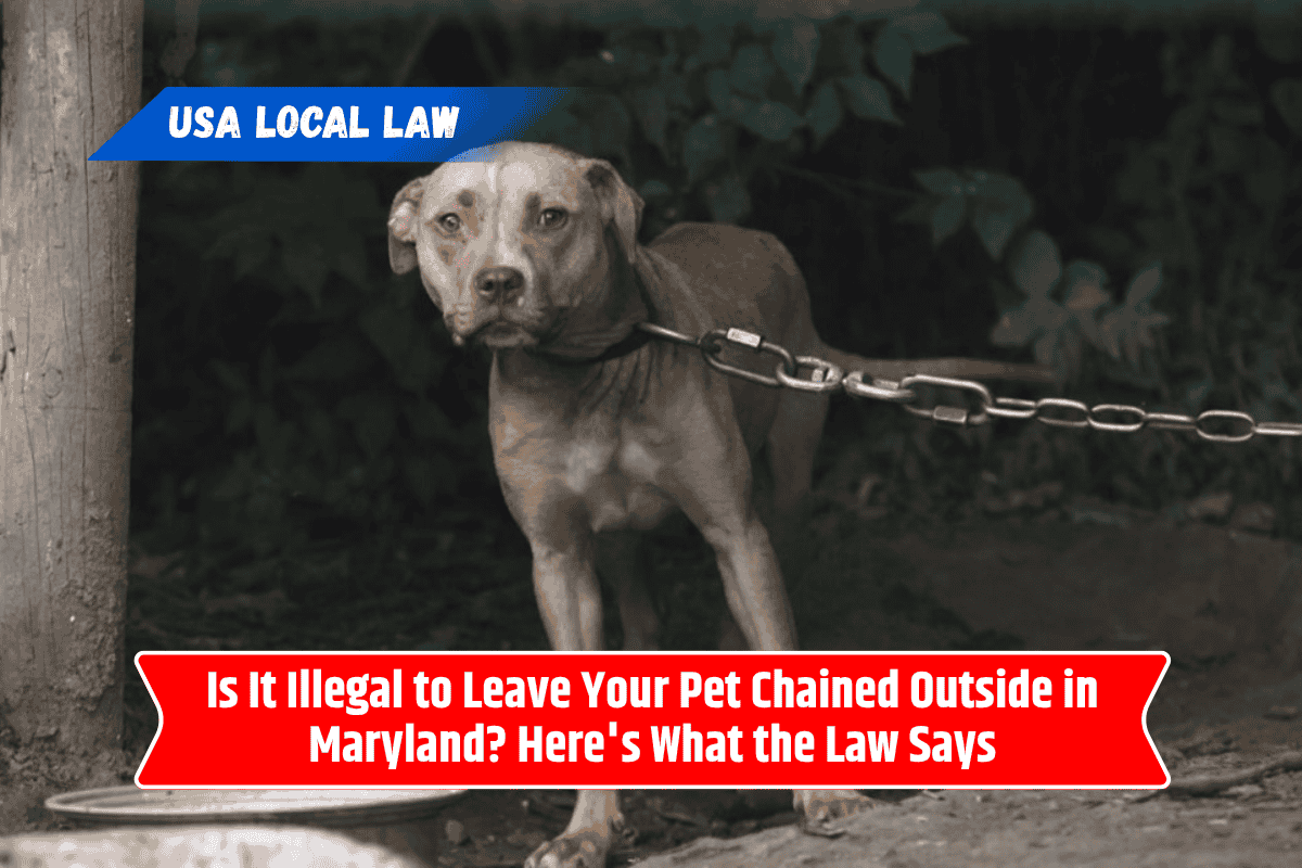 Is It Illegal to Leave Your Pet Chained Outside in Maryland? Here's What the Law Says