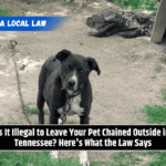 Is It Illegal to Leave Your Pet Chained Outside in Tennessee? Here's What the Law Says