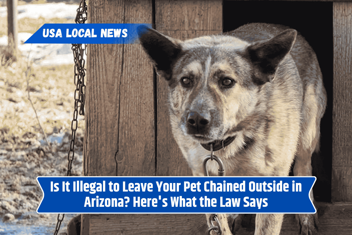 Is It Illegal to Leave Your Pet Chained Outside in Arizona? Here's What the Law Says
