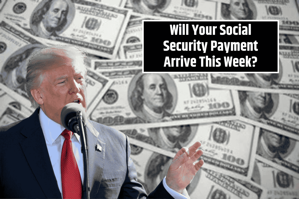Will Your Social Security Payment Arrive This Week? SSDI Recipients Get Their First August Deposit