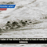 Father of Four Killed by Crocodile in Front of Family in Indonesia