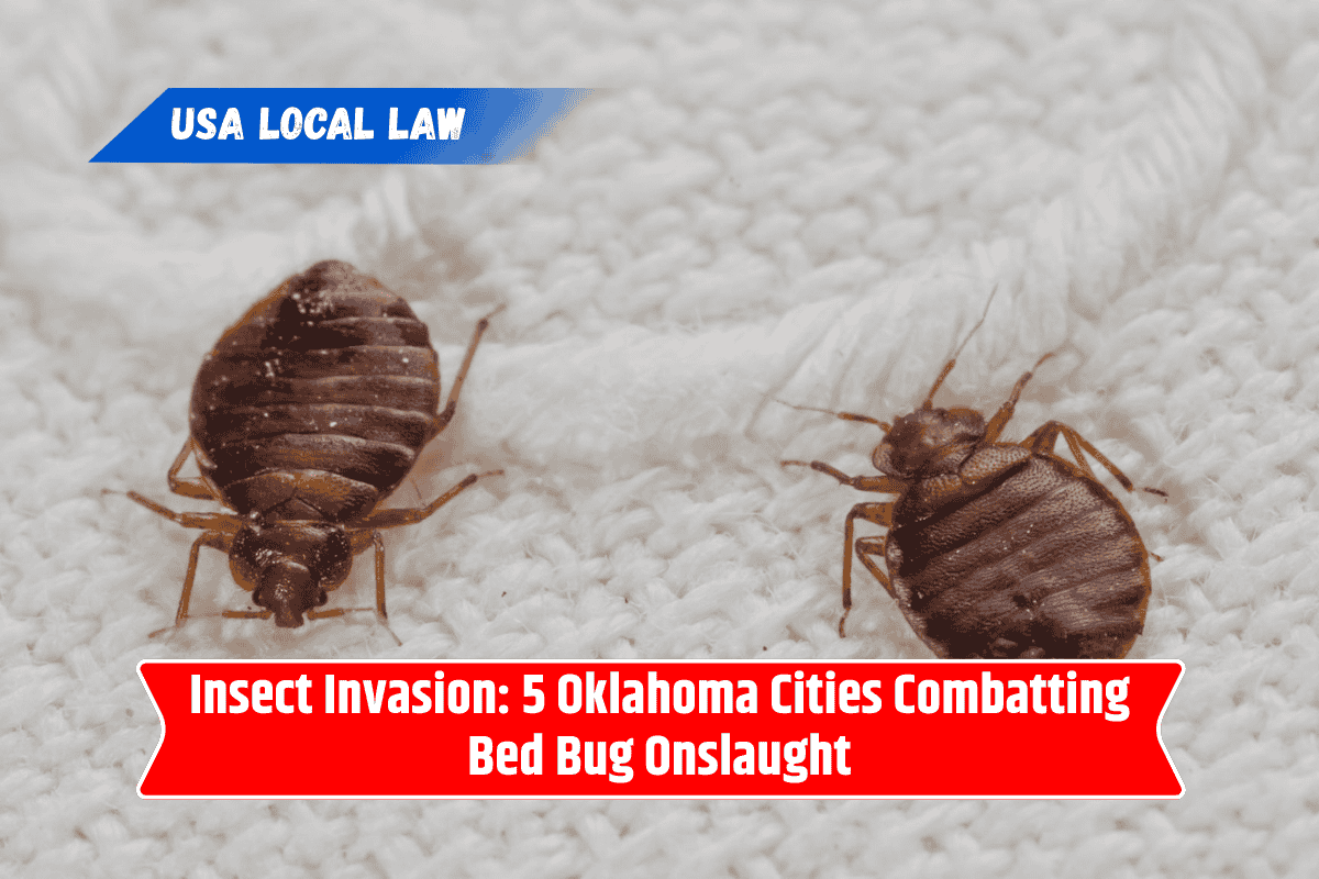 Insect Invasion: 5 Oklahoma Cities Combatting Bed Bug Onslaught