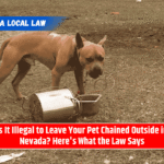 Is It Illegal to Leave Your Pet Chained Outside in Nevada? Here's What the Law Says