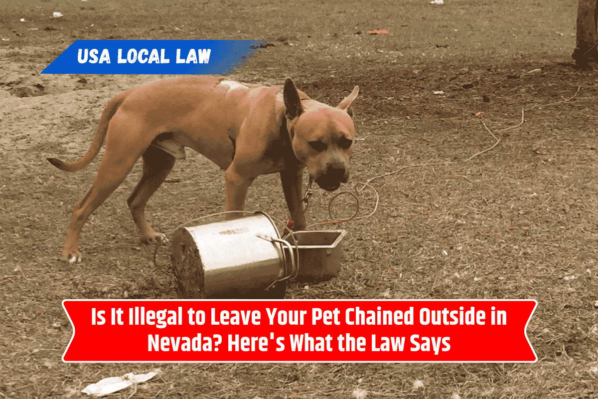 Is It Illegal to Leave Your Pet Chained Outside in Nevada? Here's What the Law Says