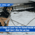 Is It Illegal to Leave Your Pet Chained Outside in Utah? Here's What the Law Says