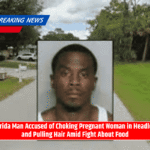 Florida Man Accused of Choking Pregnant Woman in Headlock and Pulling Hair Amid Fight About Food