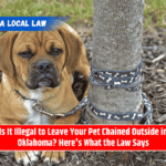 Is It Illegal to Leave Your Pet Chained Outside in Oklahoma? Here's What the Law Says