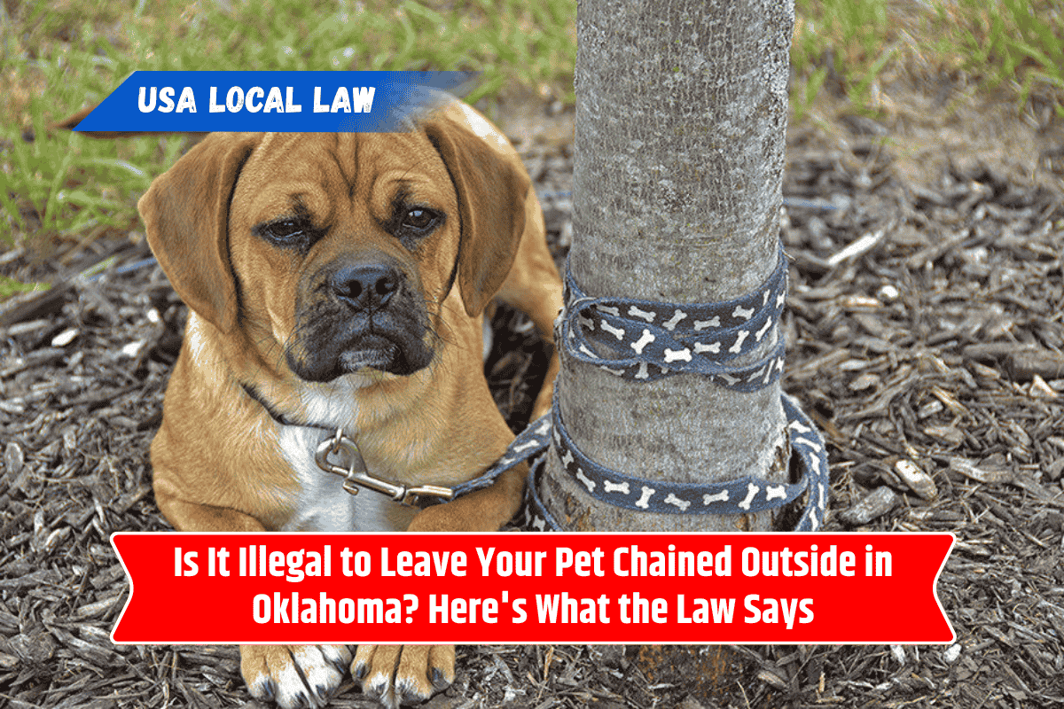 Is It Illegal to Leave Your Pet Chained Outside in Oklahoma? Here's What the Law Says