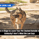 Is It Illegal to Leave Your Pet Chained Outside in Kentucky? Here's What the Law Says