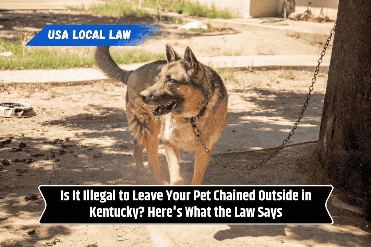Is It Illegal to Leave Your Pet Chained Outside in Kentucky? Here's What the Law Says