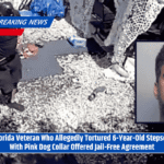 Florida Veteran Who Allegedly Tortured 6-Year-Old Stepson With Pink Dog Collar Offered Jail-Free Agreement