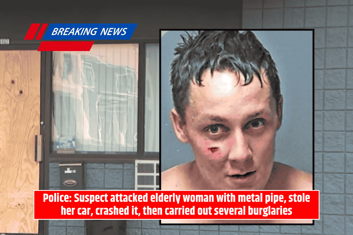 Police: Suspect attacked elderly woman with metal pipe, stole her car, crashed it, then carried out several burglaries