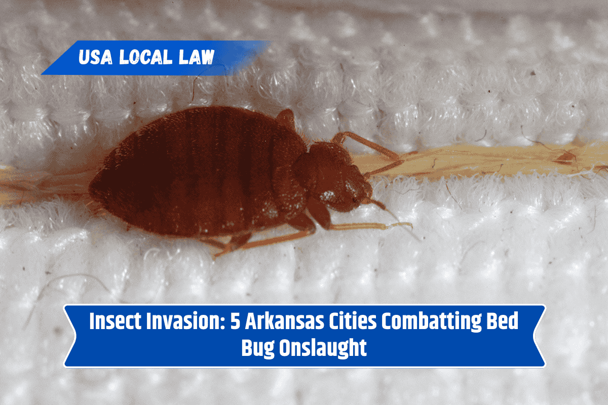 Insect Invasion: 5 Arkansas Cities Combatting Bed Bug Onslaught