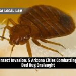 Insect Invasion 5 Arizona Cities Combatting Bed Bug Onslaught