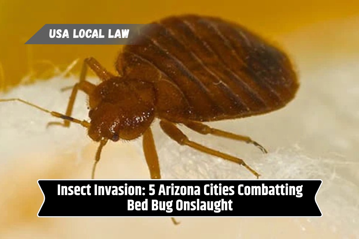 Insect Invasion 5 Arizona Cities Combatting Bed Bug Onslaught