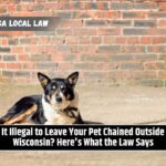 Is It Illegal to Leave Your Pet Chained Outside in Wisconsin Here's What the Law Says