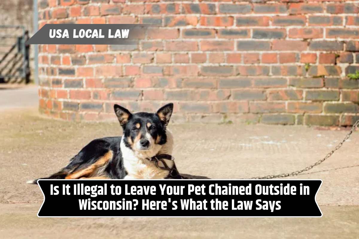 Is It Illegal to Leave Your Pet Chained Outside in Wisconsin Here's What the Law Says