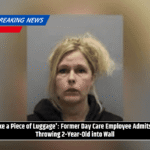 'Like a Piece of Luggage' Former Day Care Employee Admits to Throwing 2-Year-Old into Wall'Like a Piece of Luggage' Former Day Care Employee Admits to Throwing 2-Year-Old into Wall
