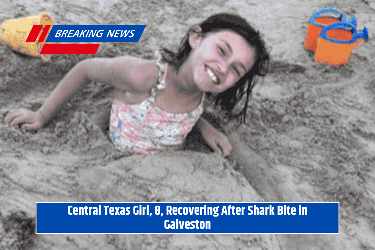 Central Texas Girl, 8, Recovering After Shark Bite in Galveston