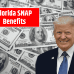 Florida SNAP Benefits: September 2025 Payment Schedule & Eligibility Guide
