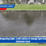 Disgusting Sight: 2,500 Gallons of Sewage Spill Into Galveston Canal