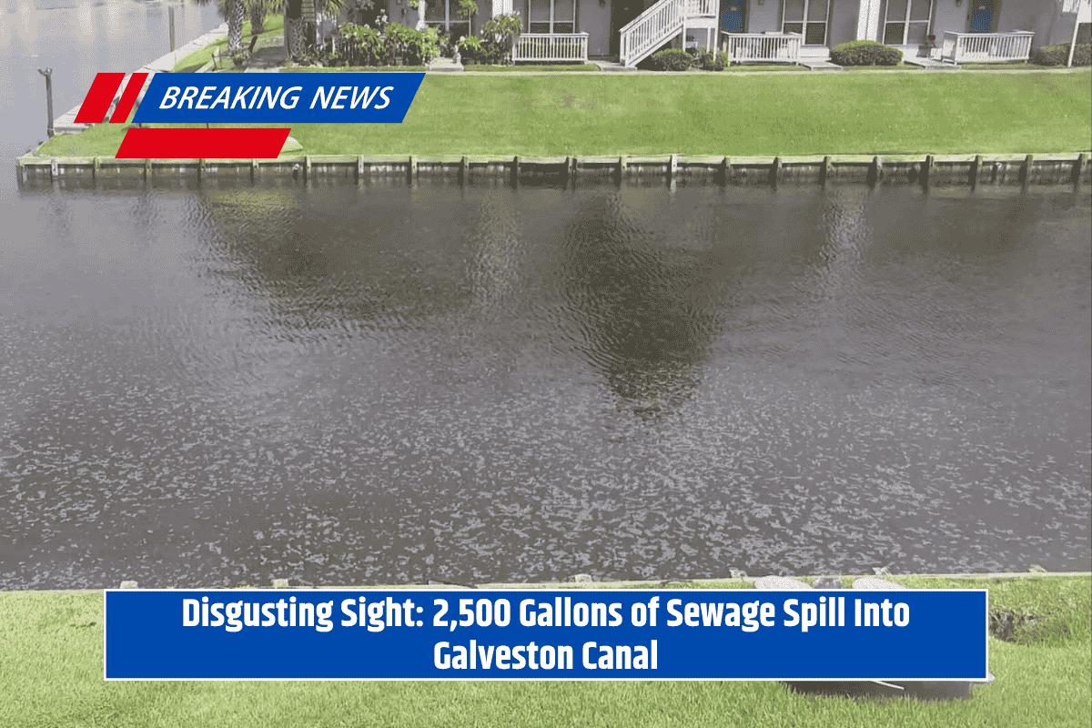 Disgusting Sight: 2,500 Gallons of Sewage Spill Into Galveston Canal