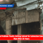 Bee Problem Finally Getting Solved for Galveston County Man After 35 Years