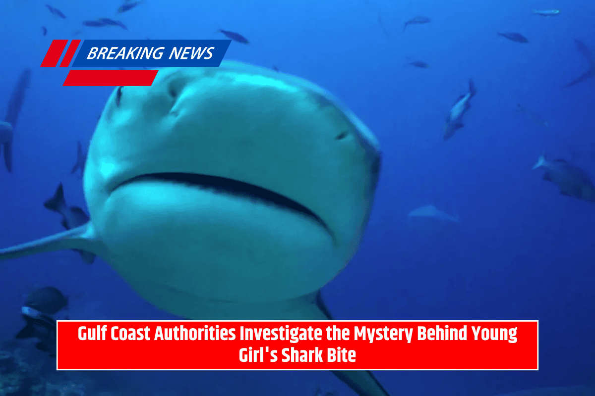 Gulf Coast Authorities Investigate the Mystery Behind Young Girl's Shark Bite
