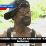 Bee Problem Almost Fixed, But Homeowner Now Faces Another Issue