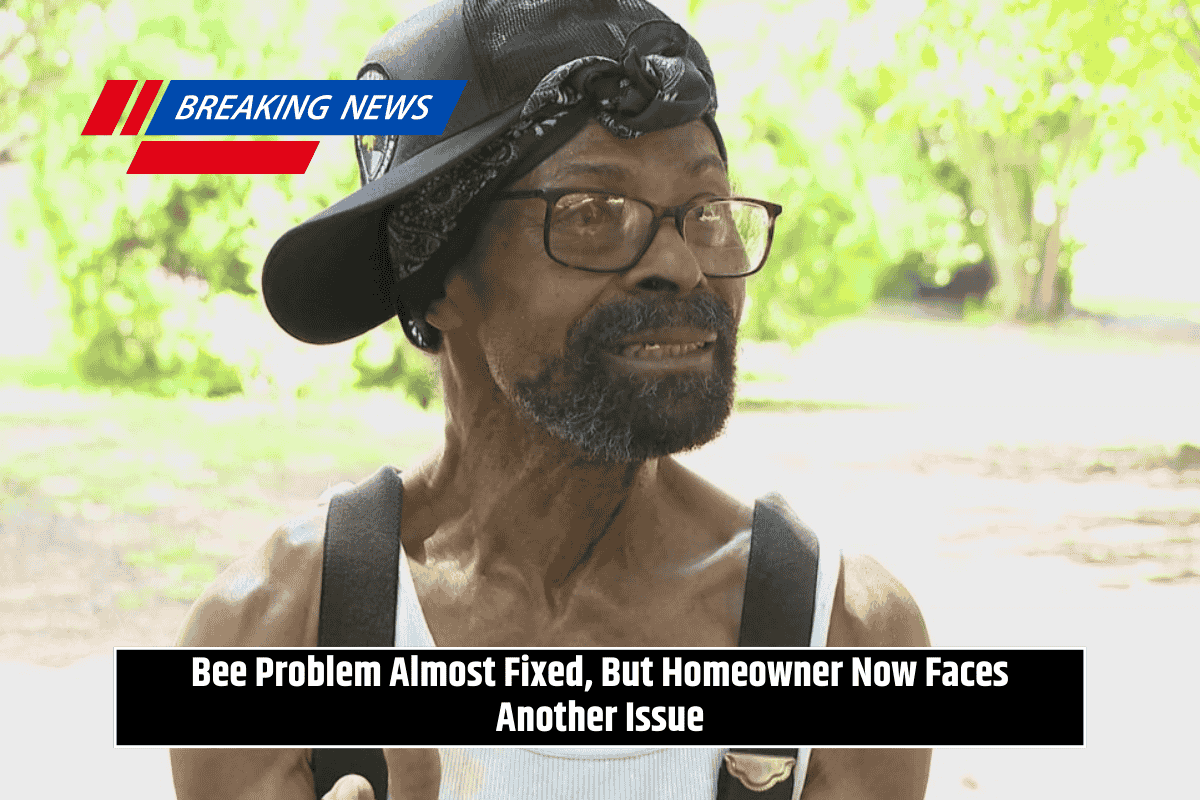 Bee Problem Almost Fixed, But Homeowner Now Faces Another Issue