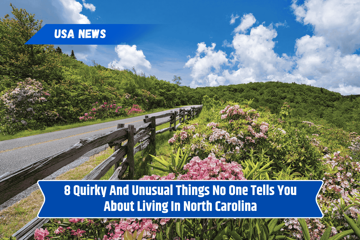 8 Quirky And Unusual Things No One Tells You About Living In North Carolina