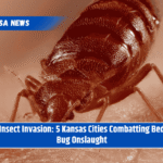 Insect Invasion: 5 Kansas Cities Combatting Bed Bug Onslaught