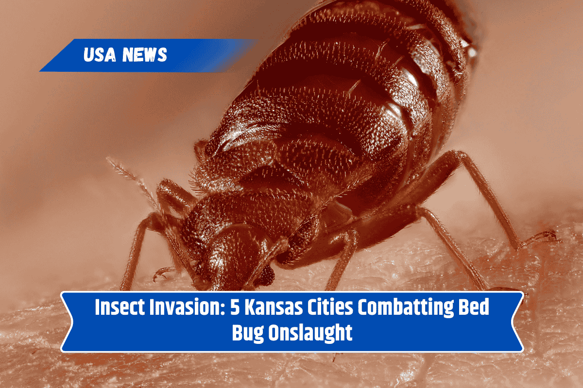 Insect Invasion: 5 Kansas Cities Combatting Bed Bug Onslaught