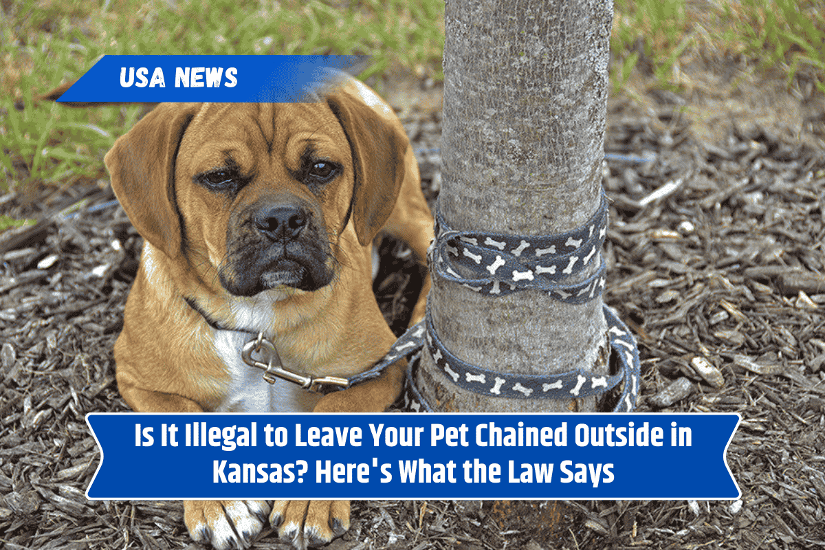 Is It Illegal to Leave Your Pet Chained Outside in Kansas? Here's What the Law Says
