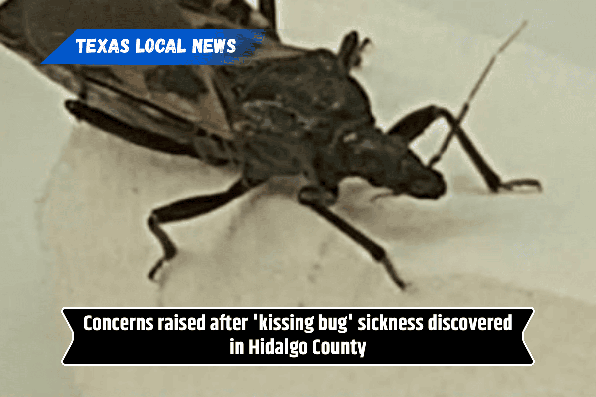 Concerns raised after 'kissing bug' sickness discovered in Hidalgo County