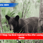 11 Things You Never Expected to Miss After Leaving Florida