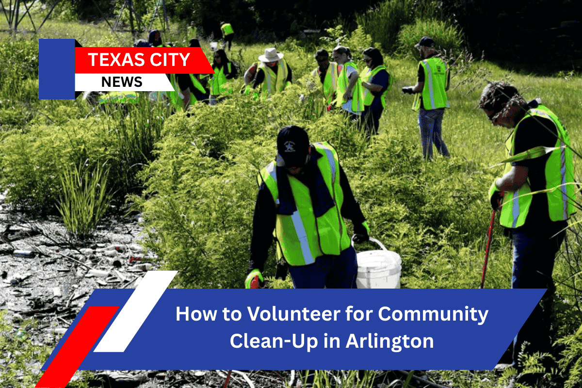 How to Volunteer for Community Clean-Up in Arlington
