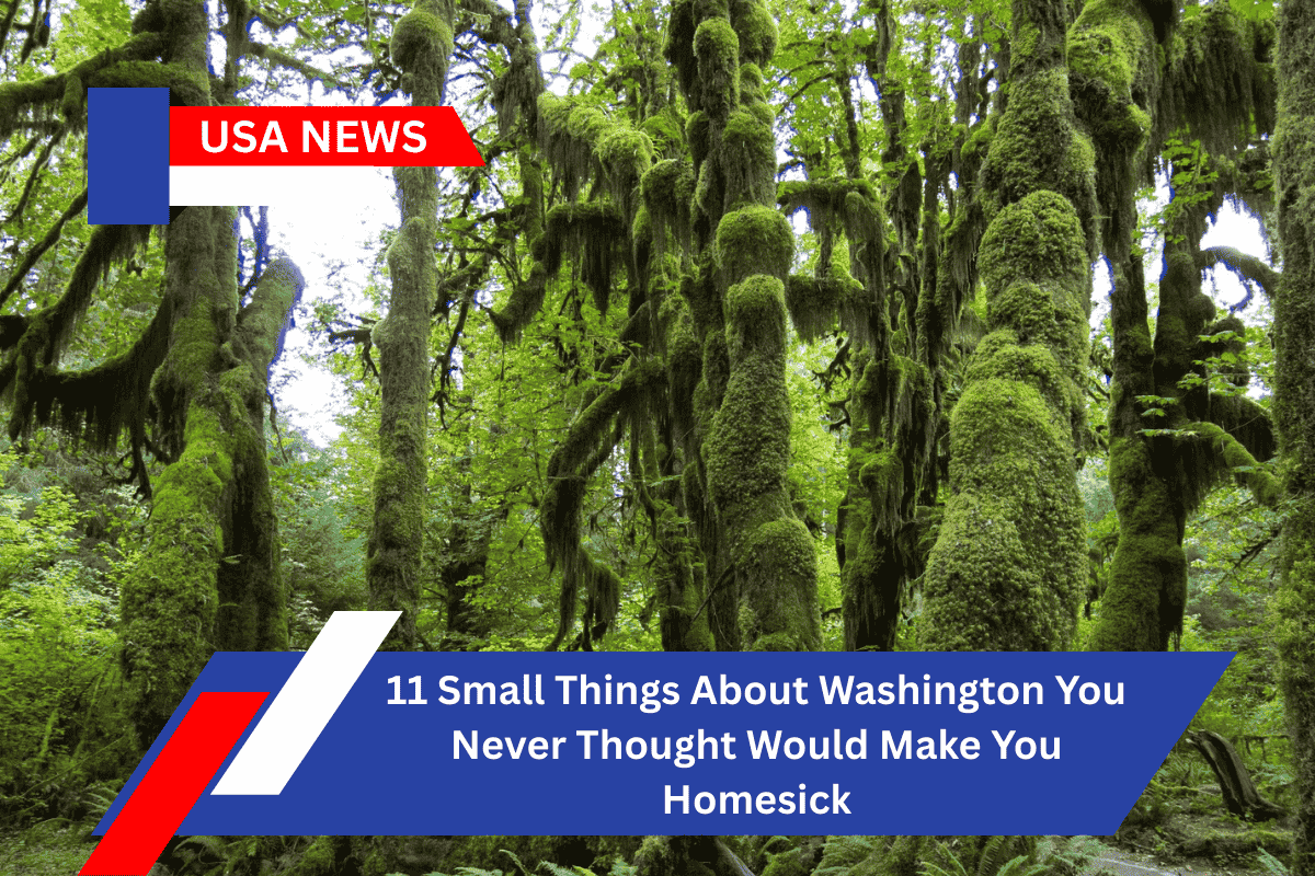 11 Small Things About Washington You Never Thought Would Make You Homesick