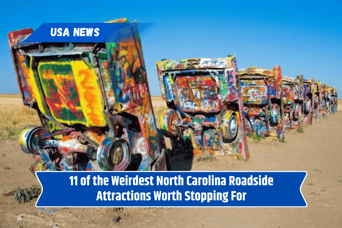 11 of the Weirdest North Carolina Roadside Attractions Worth Stopping For